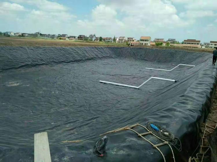 聚乙烯土工膜 聚乙烯土工膜