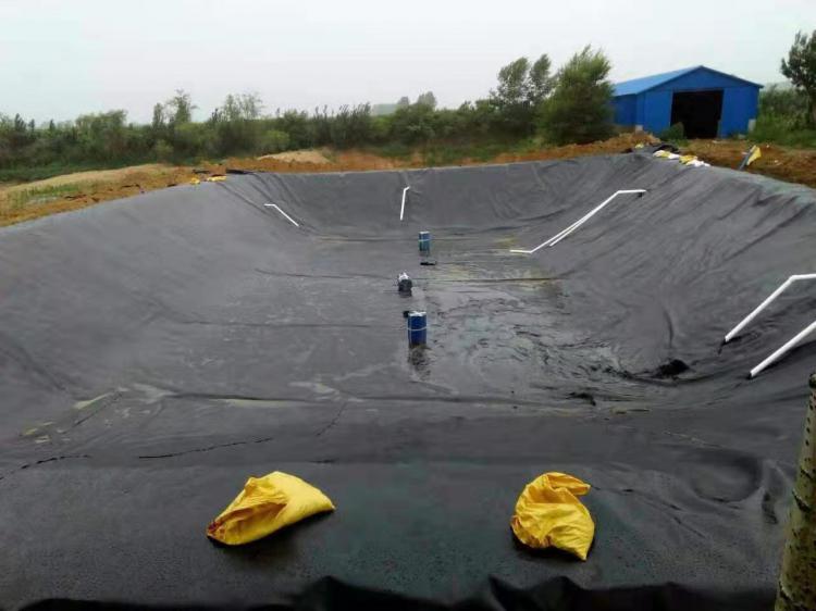 聚乙烯土工膜 聚乙烯土工膜