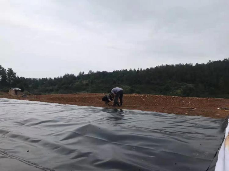 LDPE防滲土工膜價格 LDPE防滲土工膜價格