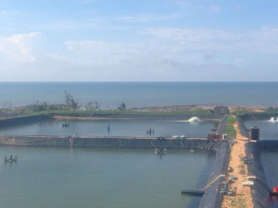 HDPE土工膜 HDPE土工膜