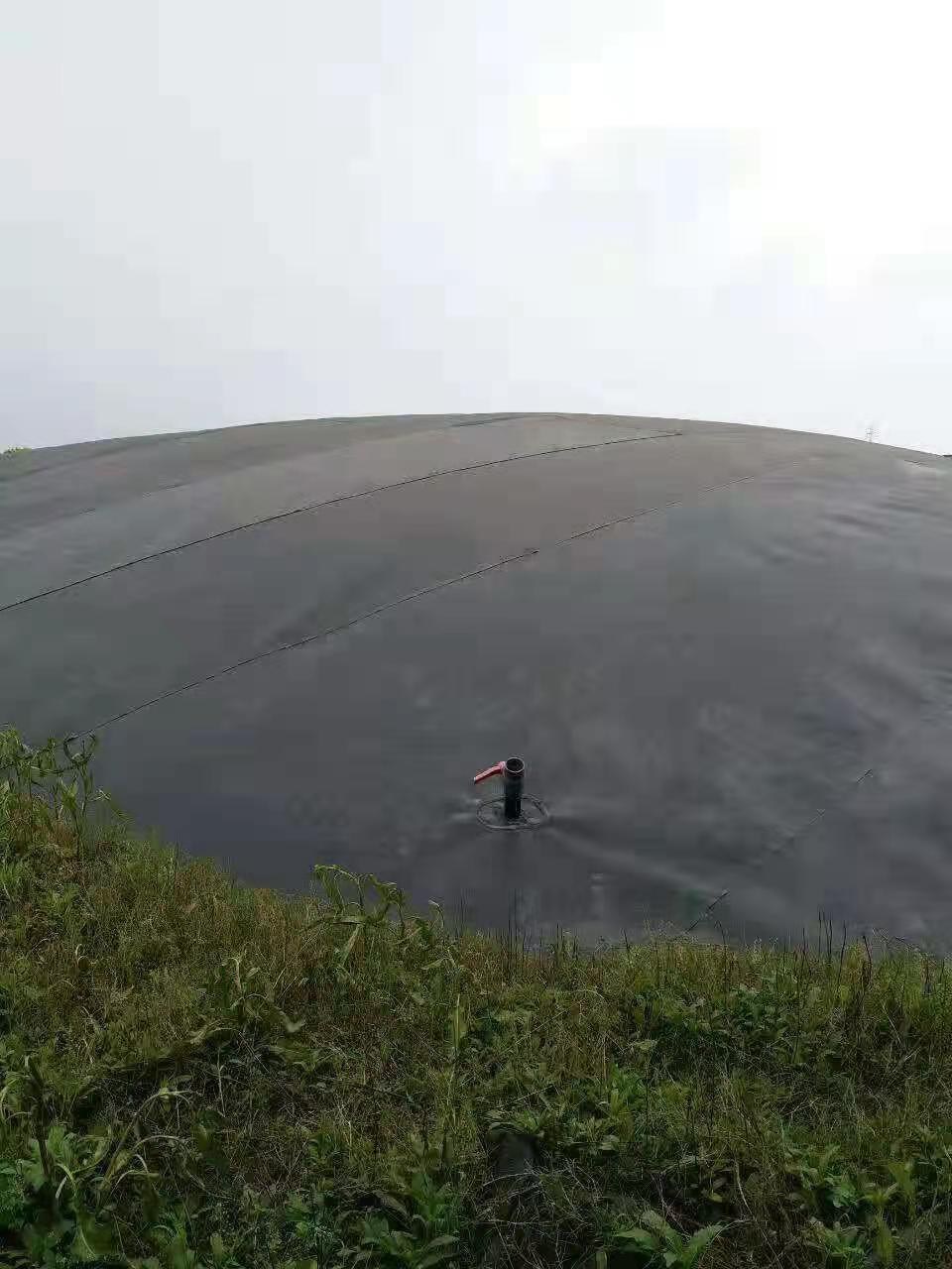 藕池土工膜 藕池土工膜