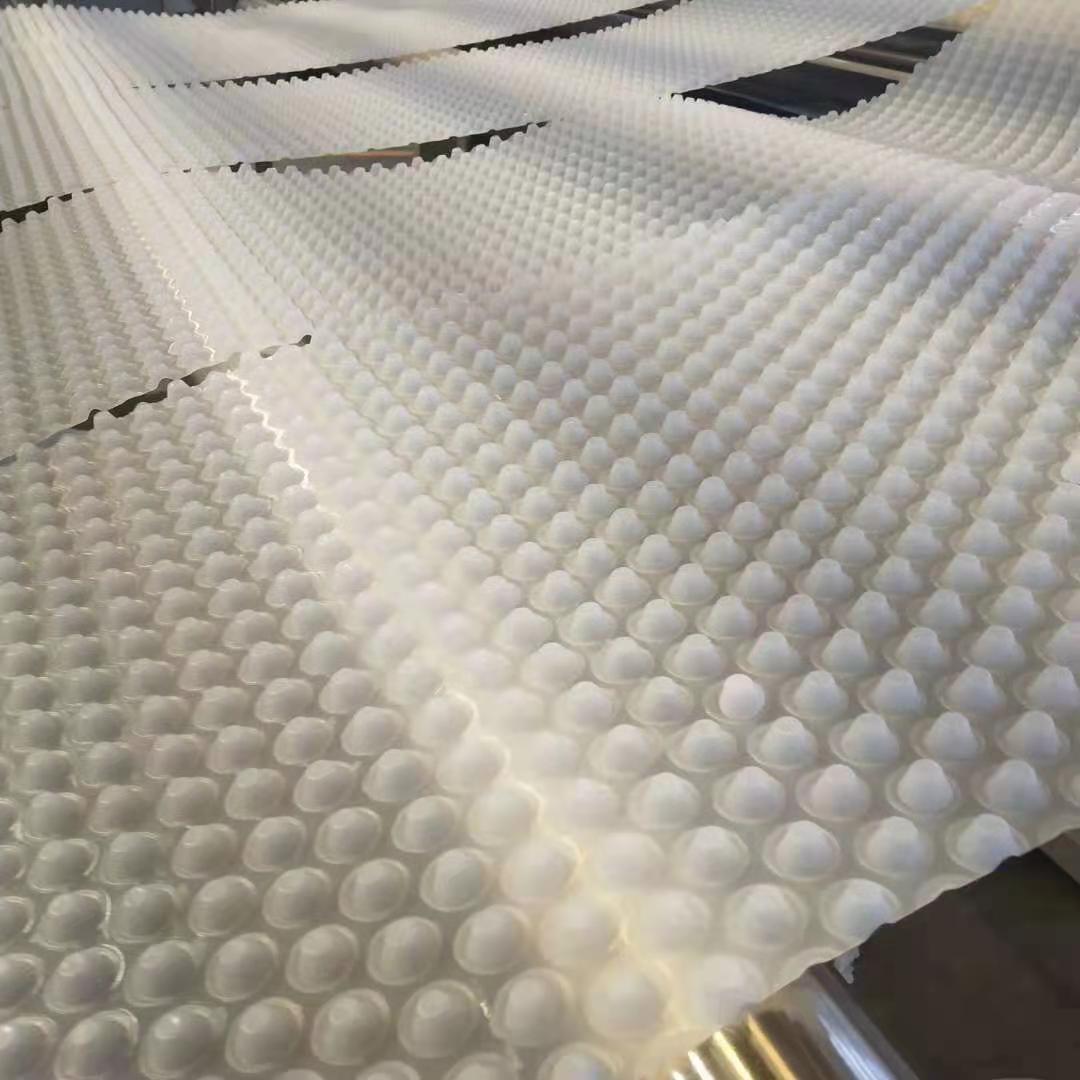 塑料排水板 塑料排水板