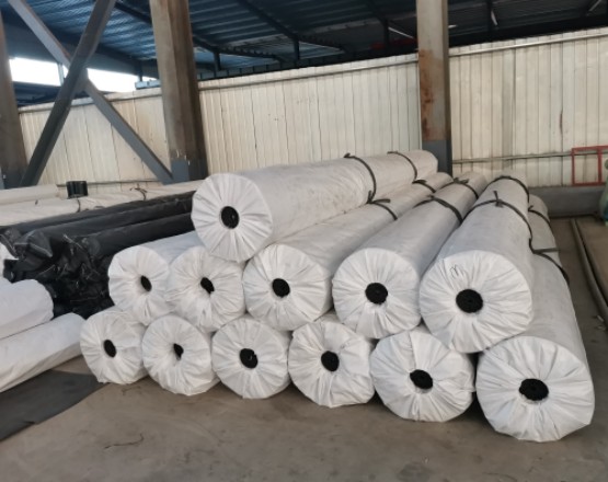 HDPE土工膜 HDPE土工膜